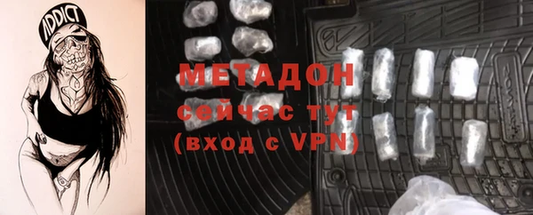 индика Алексин