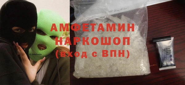 индика Алексин