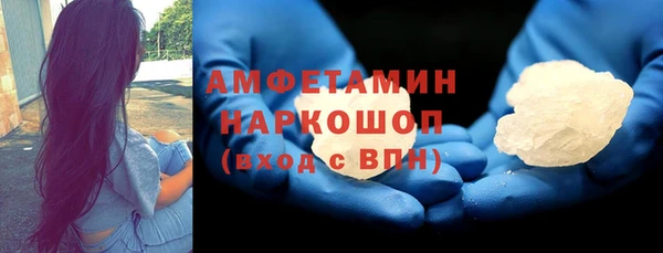 индика Алексин