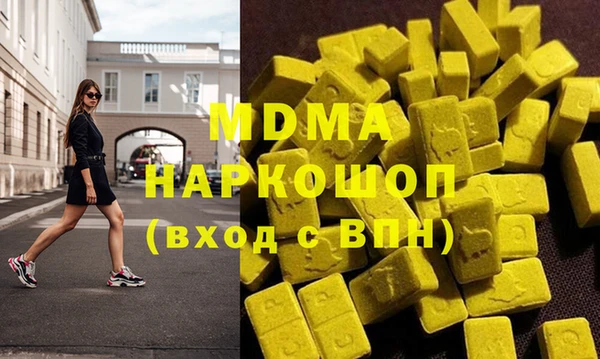 индика Алексин