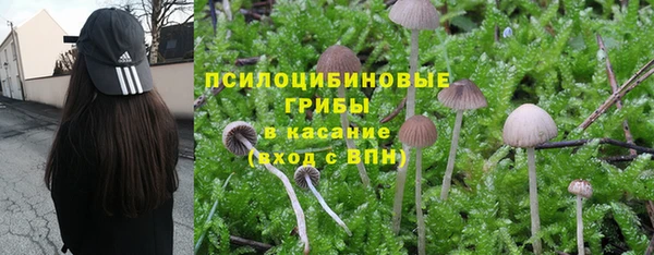 амфетамин Алексеевка