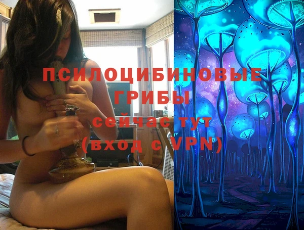 дживик Алзамай