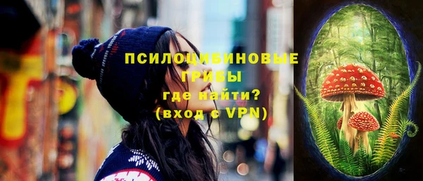 индика Алексин