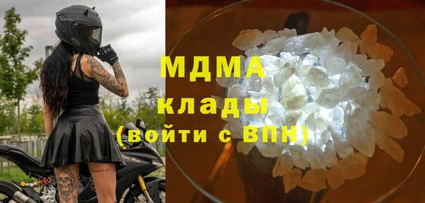 индика Алексин