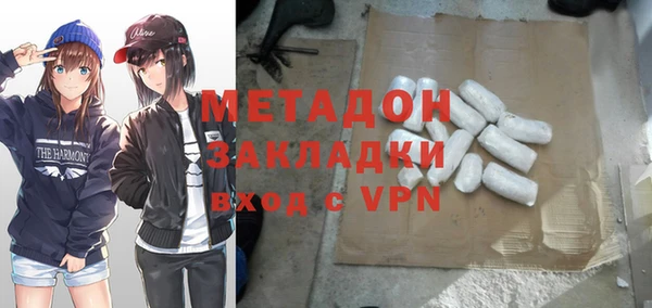 индика Алексин