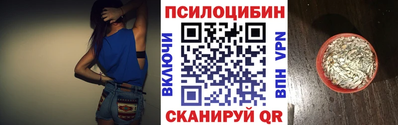 hydra   Междуреченск  Галлюциногенные грибы прущие грибы  как найти  