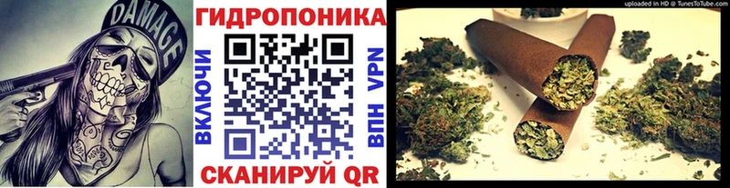 как найти   Междуреченск  Бошки марихуана гибрид 